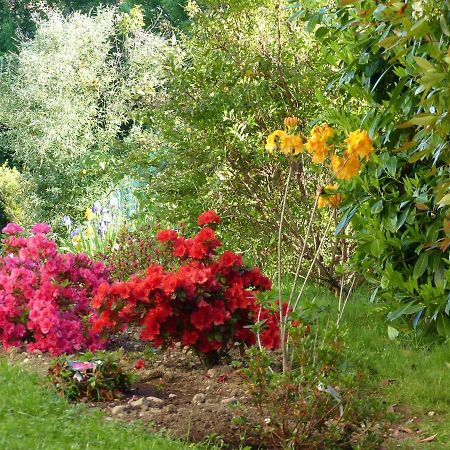 Bed and Breakfast Les Enselmes Montagnieu  Экстерьер фото